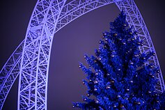 Vilnius Christmas Tree lighting ceremony