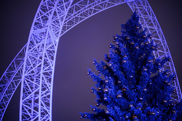 Vilnius Christmas Tree lighting ceremony