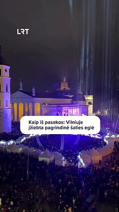 Vilniuje sužibo Kalėdų eglė – natūrali žaliaskarė įsikūrė burbule