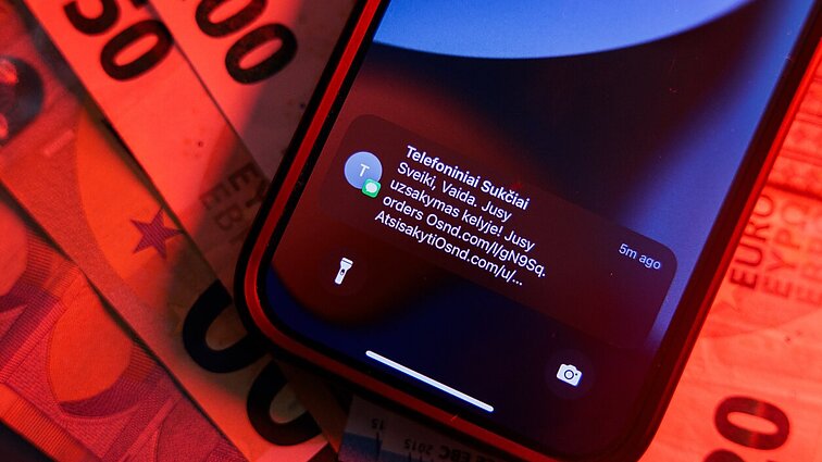 Gyventojų atsparumą sukčių pinklėms testuos pasitelkę netikrą el. parduotuvę