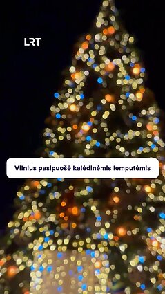Vilnius sužibėjo: kalėdinės lemputės puošia miestą!