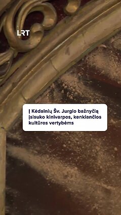 Maži kenkėjai, didelė žala – kinivarpos naikina kultūros vertybes