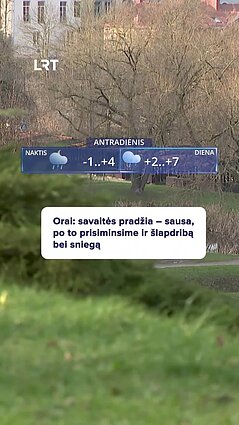 Orų prognozės: ar sulauksime sniego?