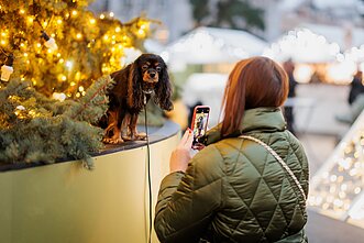 Vilniaus kalėdinė mugė