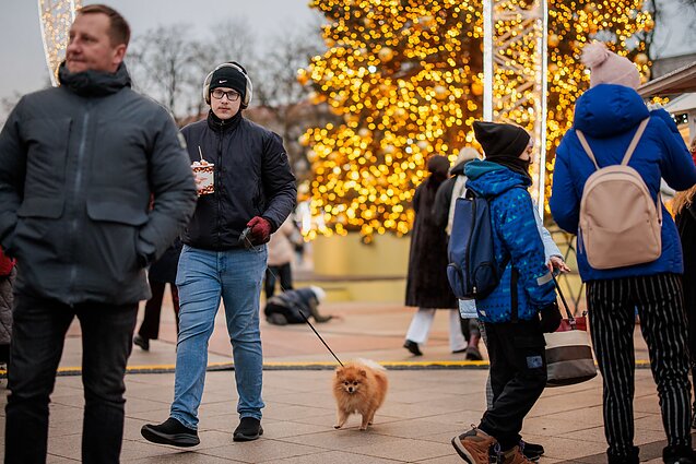 Vilniaus kalėdinė mugė