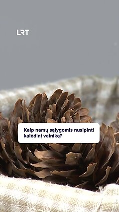 Kaip nusipinti kalėdinį vainiką?