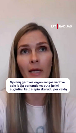 „Visą darbą nubraukė ta reklama“: kritikuoja butų pirkėjams žadančius dovanoti augintinį