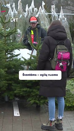 Ar esatę išsinuomavę Kalėdų eglę?