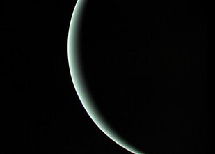 Uranas Uranas