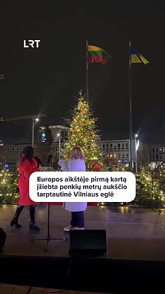 Lietuvoje gyvenantys užsieniečiai džiaugiasi tarptautine egle!