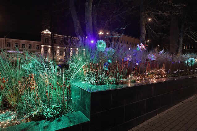 Ukmergėje įžiebta kalėdinė eglė