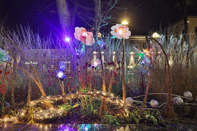 Ukmergėje įžiebta kalėdinė eglė