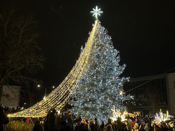 Ukmergėje įžiebta kalėdinė eglė
