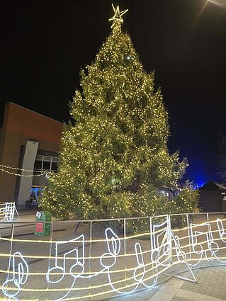 Plungės kalėdinė eglė