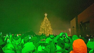 Plungės kalėdinė eglė