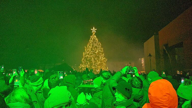 Plungės kalėdinė eglė