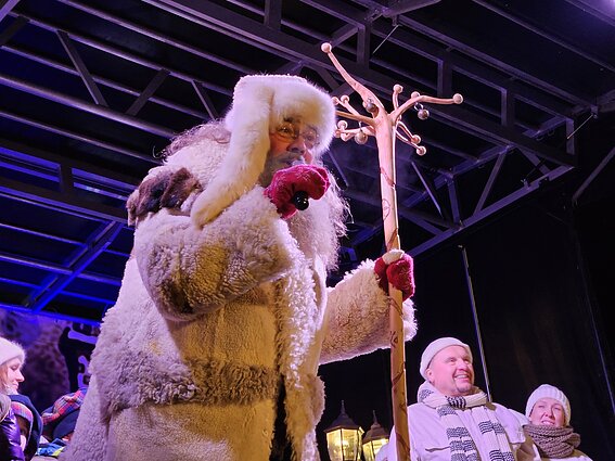 Rokiškio Kalėdų eglė