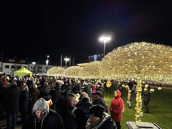 Prienų kalėdinė eglė