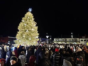 Prienų kalėdinė eglė