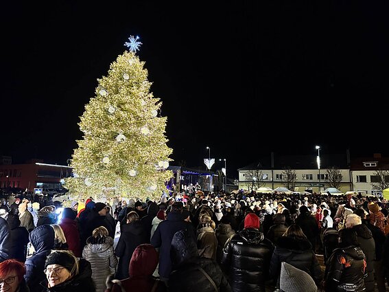 Prienų kalėdinė eglė