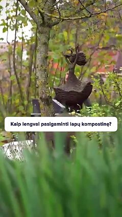 Kaip tinkamai tvarkyti nukritusius lapus?