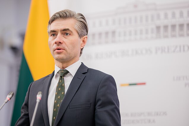 Situaciją Sakartvele aptaręs Budrys: tai nesuderinama su normaliu sambūviu