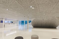 Mokslo sala Mokslo sala