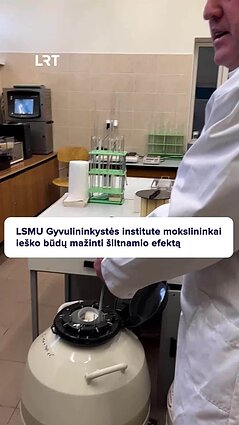 Kaip sumažinti šiltnamio efektą sukeliančias dujas?