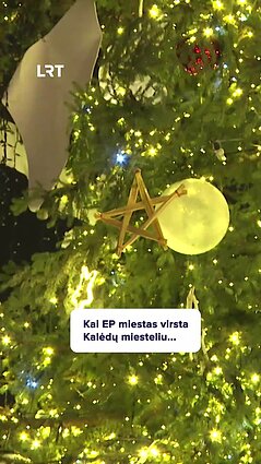 Kalėdų mugė Strasbūre pavergė lankytojų širdis