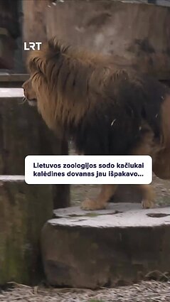 Zoologijos sodo gyventojams – gardžios šventinės dovanos!