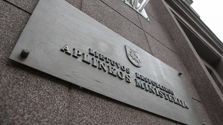 Politologė apie kelią į ministrus metusį Kovėrą: praeities šleifas negalėjo jo nepasivyti