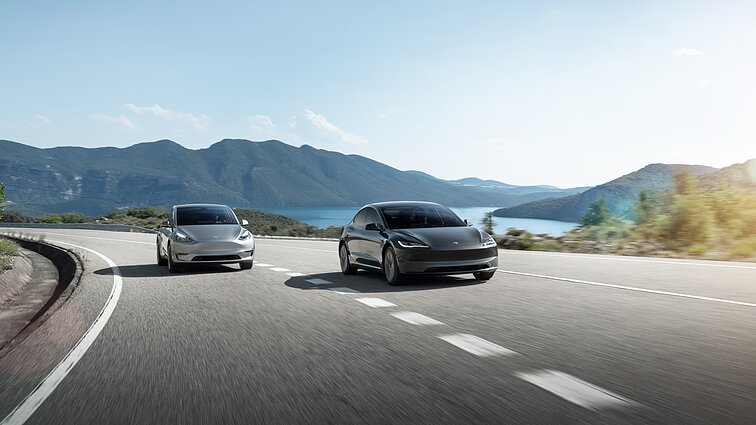 „Model 3“ ir „Model Y“