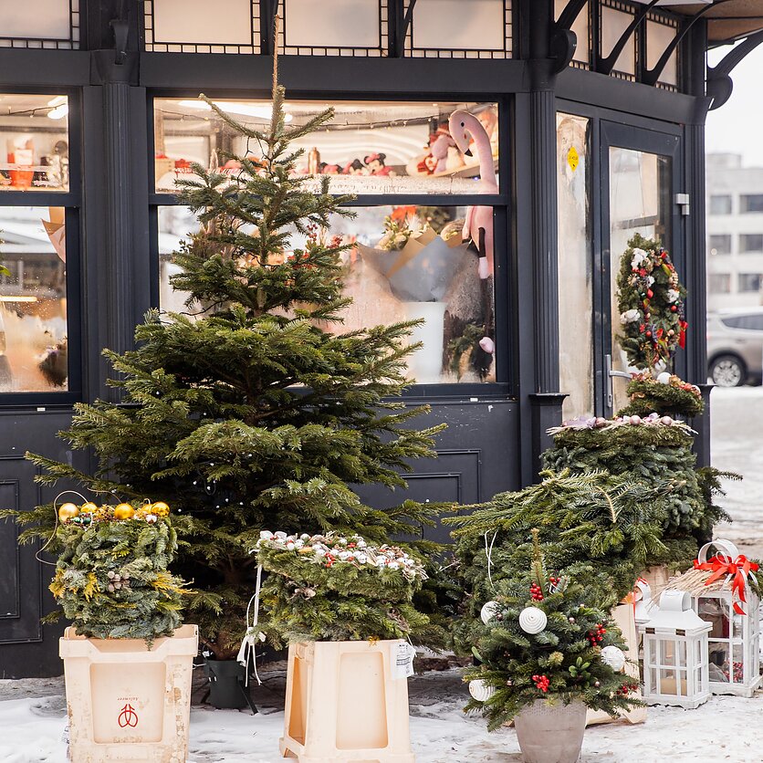 J. Stacevičiaus / LRT nuotr., Parduodamos eglutės