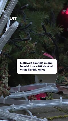 Stichija siautėja: kokie stipraus vėjo padariniai?