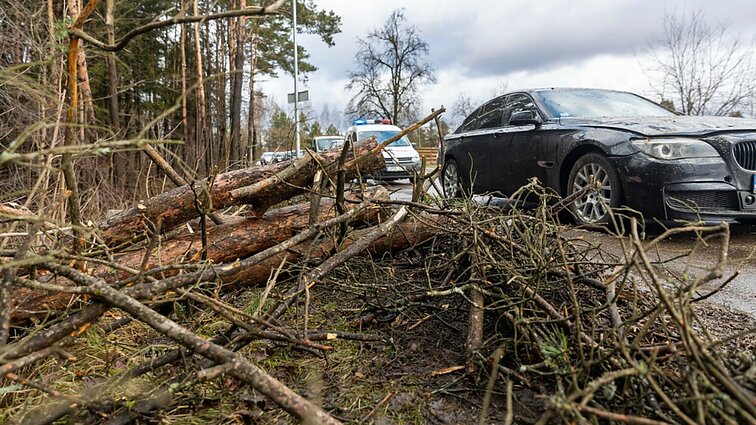 Dėl vėjo beveik 30 tūkst. vartotojų neturi elektros: medžiai virto ant automobilių, laidų