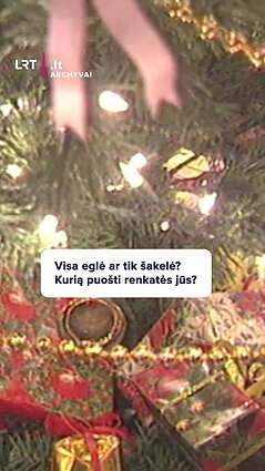 Visa eglė ar tik šakelė? Kurią puošti renkatės jūs?