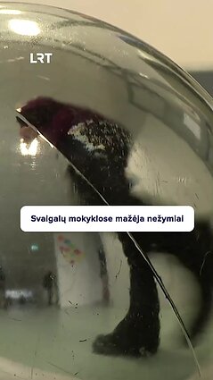 Paaugliai išradingi: svaigalų užsisako net per kurjerį