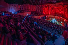 Ievos Narkutės koncerto akimirka