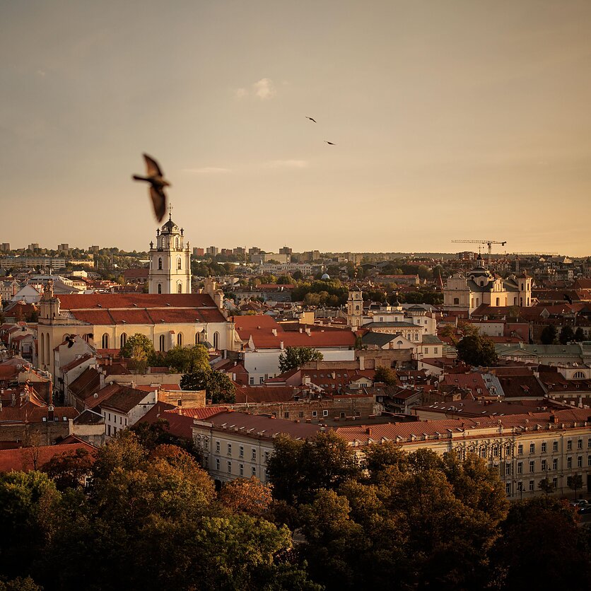 E. Blažio / LRT nuotr., Prancūzų menininkas Saype pristatė freską ant Gedimino kalno