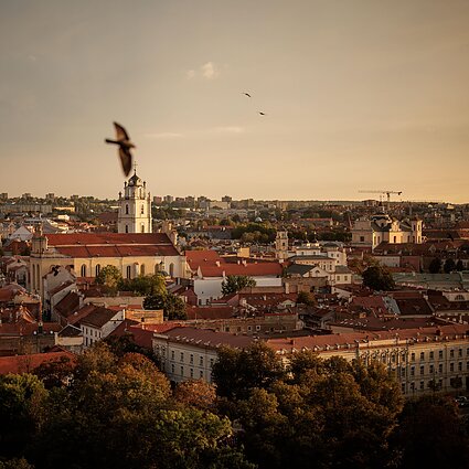 Vilniaus senamiestis 30 metų UNESCO: ar bus kaip panaudoti 8 mln. paveldotvarkos lėšų?
