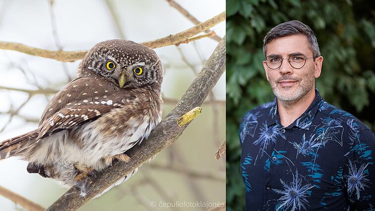 Čepulis neigia mitus apie pelėdų išmintį: jei turi gražias akis, nereiškia, kad gudrus