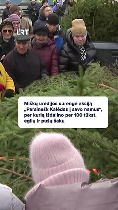 Akcija: išdalino per 100 tūkst. eglių ir pušų šakų