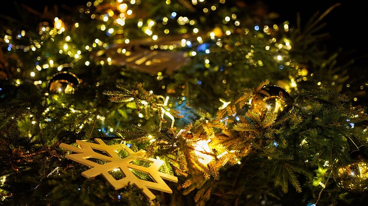 Sinoptikė: orai šventiniu laikotarpiu – permainingi, tačiau Kalėdos bus išskirtinai šiltos