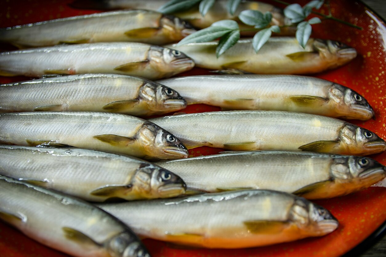 Silkės. Asociatyvi nuotr. 