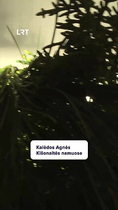 Menininkės Agnės Kišonaitės namuose – išskirtinės dekoracijos