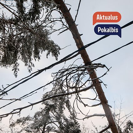 Naujasis energetikos ministras pritaria idėjai kirsti medžius prie elektros linijų