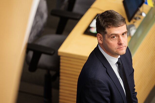 Apžvalgininkas apie Žemaitaitį ir koaliciją: norėtųsi daugiau Blinkevičiūtės indėlio