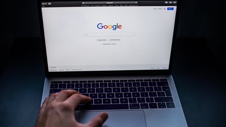 Tarp dažniausiai „Google“ ieškotų klausimų: kodėl slenka plaukai ir kaip sodinti šilauoges