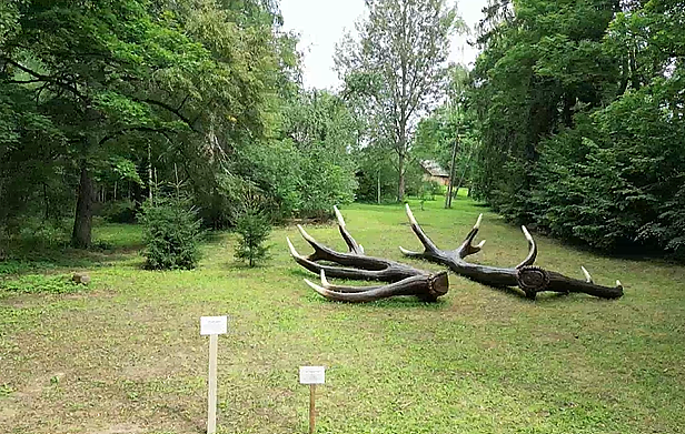 Žilvino Landzbergo „Karūna“ 