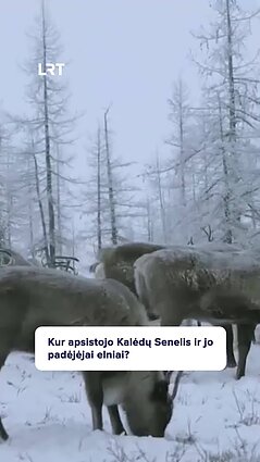 Kur gyvena Kalėdų Senelis?
